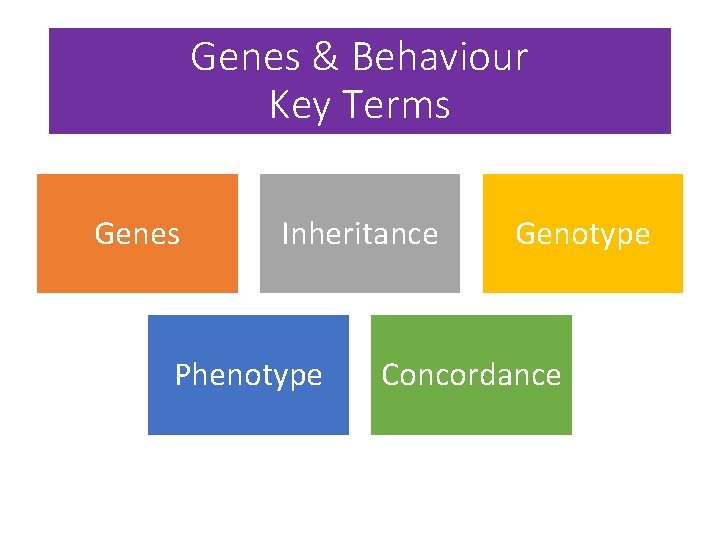 Genes & Behaviour Key Terms Genes Inheritance Phenotype Genotype Concordance 