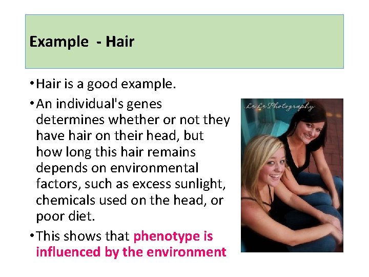 Example - Hair • Hair is a good example. • An individual's genes determines