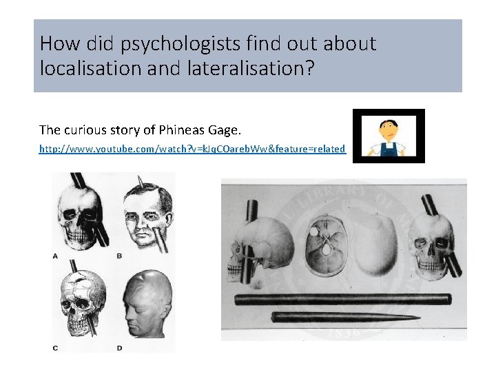 How did psychologists find out about localisation and lateralisation? The curious story of Phineas