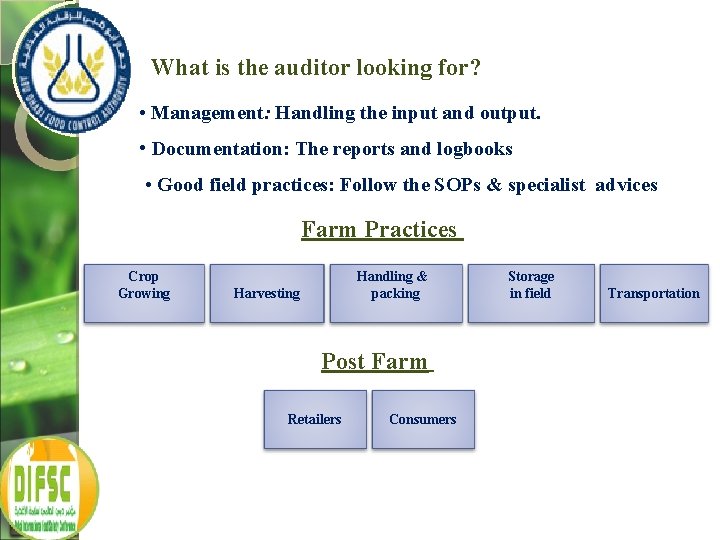 What is the auditor looking for? • Management: Handling the input and output. •