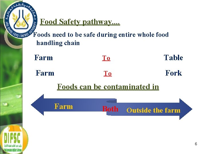 Food Safety pathway. . Foods need to be safe during entire whole food handling