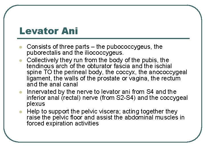 Levator Ani l l Consists of three parts – the pubococcygeus, the puborectalis and