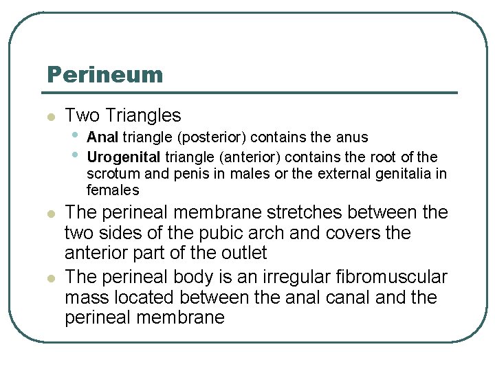 Perineum l l l Two Triangles • • Anal triangle (posterior) contains the anus