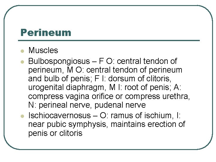 Perineum l l l Muscles Bulbospongiosus – F O: central tendon of perineum, M