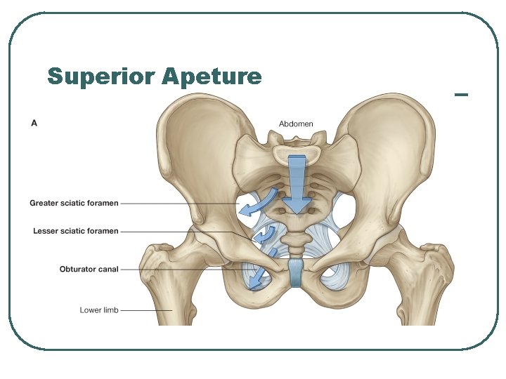 Superior Apeture Superior Apeture
