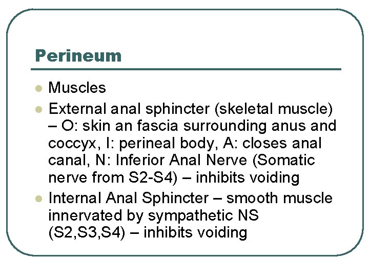 Perineum l l l Muscles External anal sphincter (skeletal muscle) – O: skin an