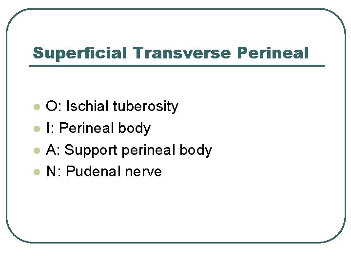Superficial Transverse Perineal l l O: Ischial tuberosity I: Perineal body A: Support perineal