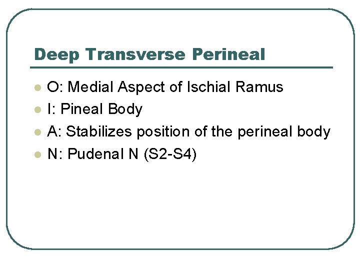 Deep Transverse Perineal l l O: Medial Aspect of Ischial Ramus I: Pineal Body