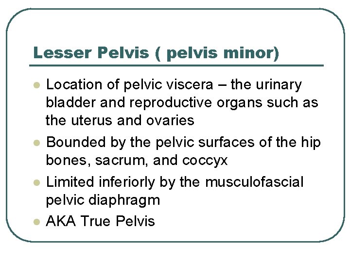 Lesser Pelvis ( pelvis minor) l l Location of pelvic viscera – the urinary Lesser Pelvis ( pelvis minor) l l Location of pelvic viscera – the urinary
