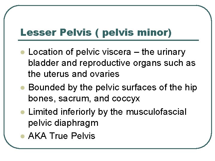 Lesser Pelvis ( pelvis minor) l l Location of pelvic viscera – the urinary