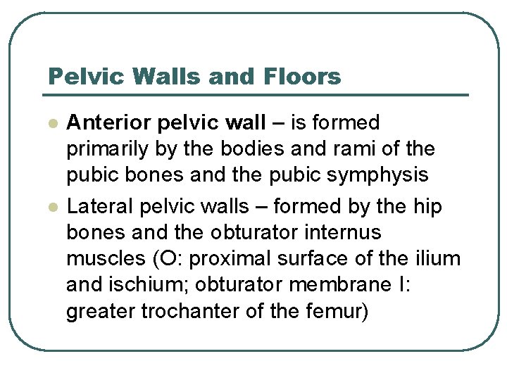 Pelvic Walls and Floors l l Anterior pelvic wall – is formed primarily by