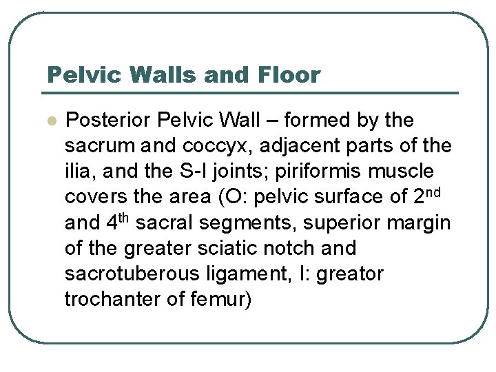 Pelvic Walls and Floor l Posterior Pelvic Wall – formed by the sacrum and Pelvic Walls and Floor l Posterior Pelvic Wall – formed by the sacrum and