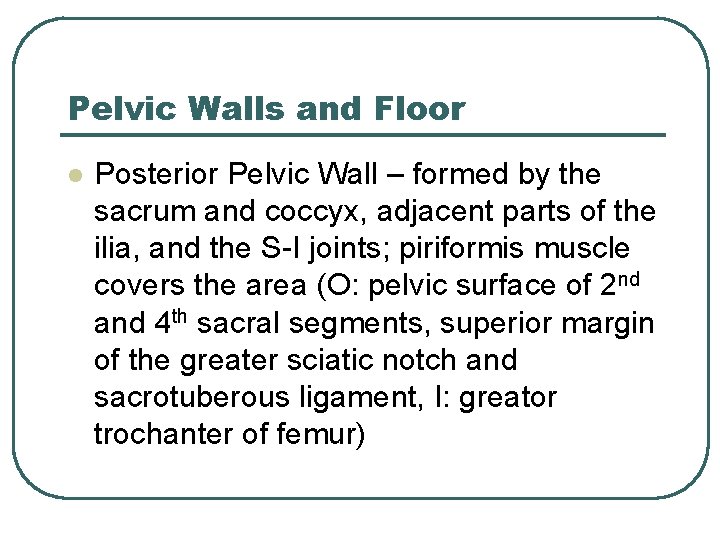 Pelvic Walls and Floor l Posterior Pelvic Wall – formed by the sacrum and