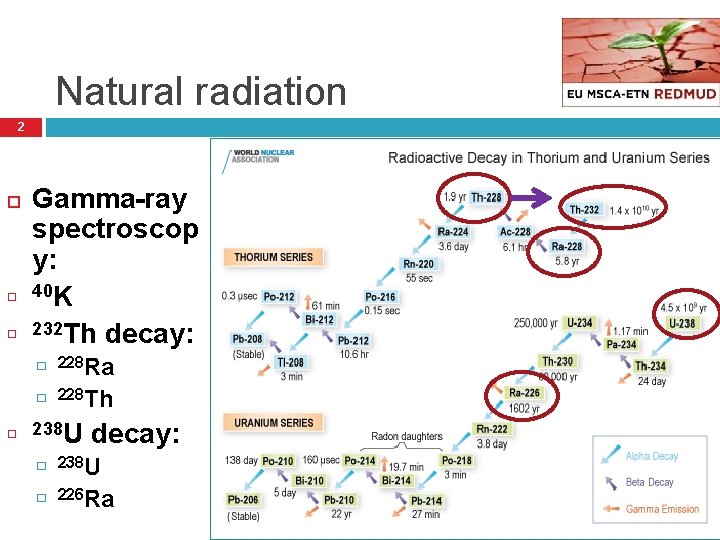 Natural radiation 2 Gamma-ray spectroscop y: 40 K 232 Th decay: � 228 Ra