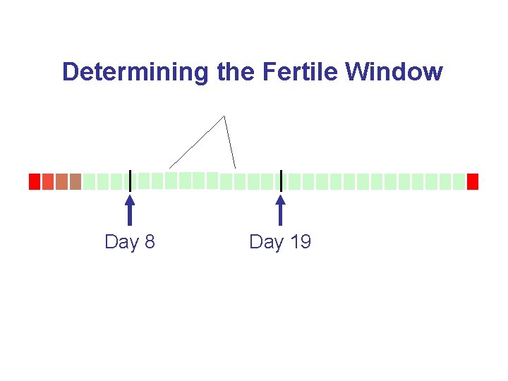Determining the Fertile Window Day 8 Day 19 