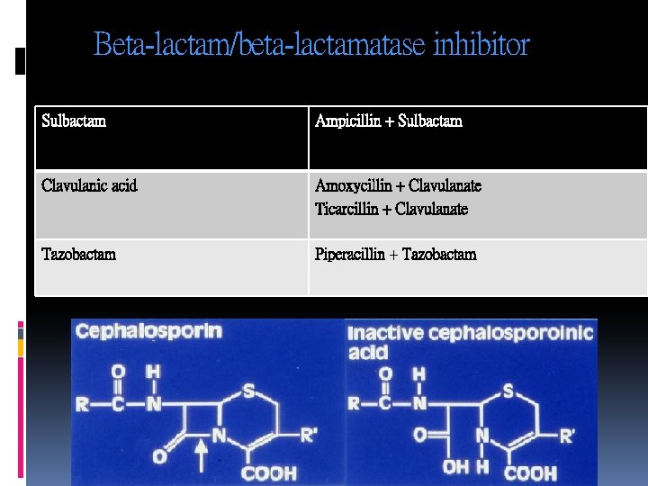 Beta-lactam/beta-lactamatase inhibitor Sulbactam Ampicillin + Sulbactam Clavulanic acid Amoxycillin + Clavulanate Ticarcillin + Clavulanate