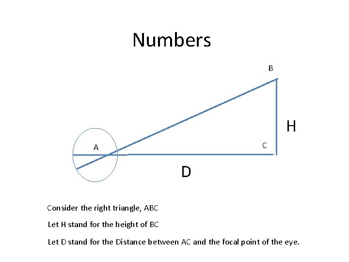 Numbers B H C A D Consider the right triangle, ABC Let H stand