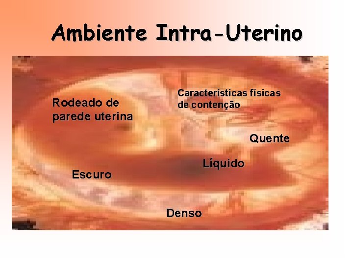 Ambiente Intra-Uterino Rodeado de parede uterina Características físicas de contenção Quente Escuro Líquido Denso
