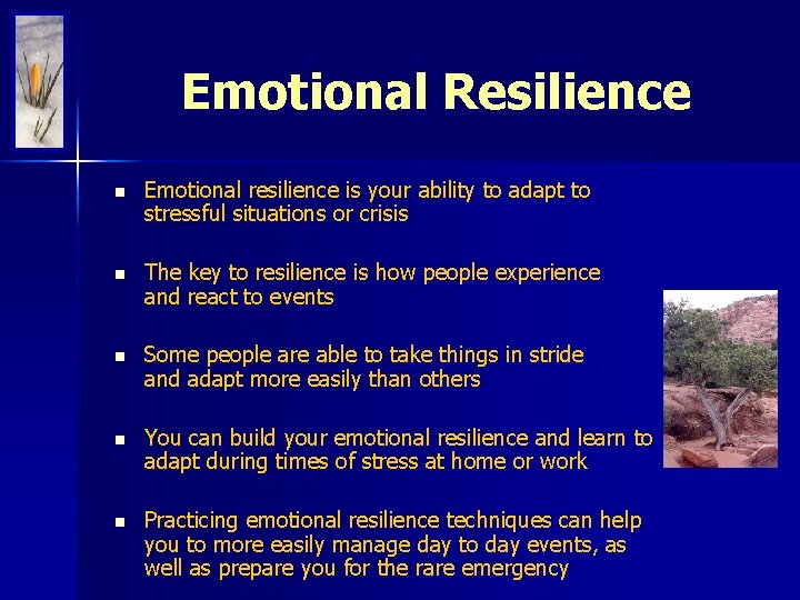 Emotional Resilience n Emotional resilience is your ability to adapt to stressful situations or