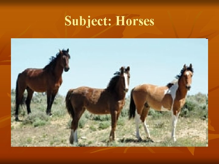 Subject: Horses 