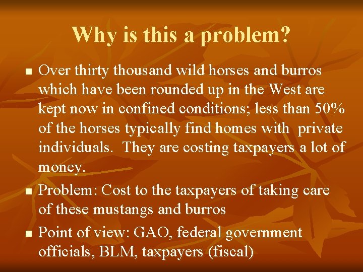 Why is this a problem? n n n Over thirty thousand wild horses and
