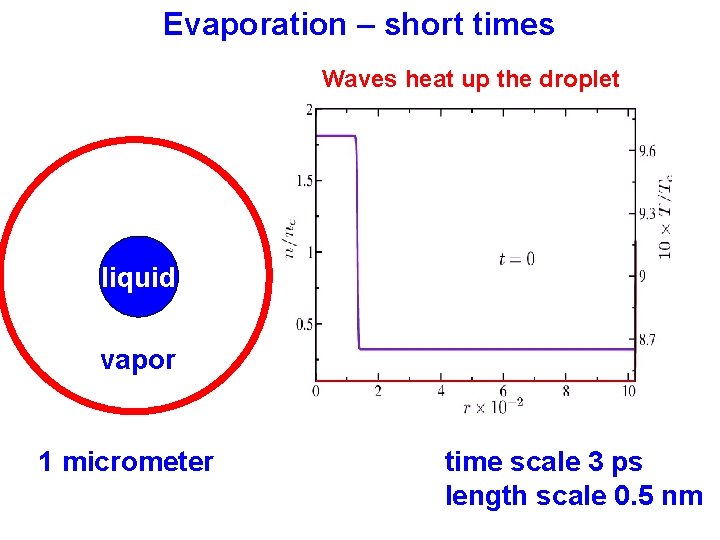 Evaporation – short times Waves heat up the droplet liquid vapor 1 micrometer time