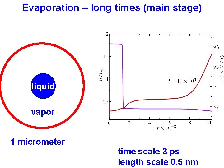 Evaporation – long times (main stage) liquid vapor 1 micrometer time scale 3 ps