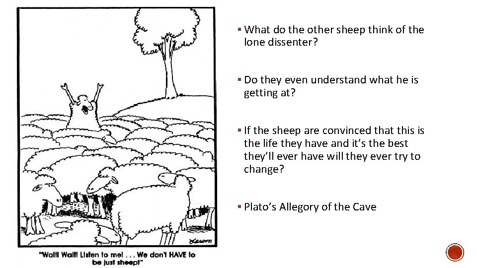§ What do the other sheep think of the lone dissenter? § Do they