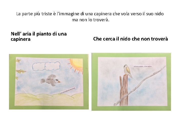 La parte più triste è l’immagine di una capinera che vola verso il suo