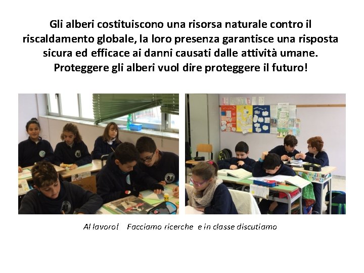 Gli alberi costituiscono una risorsa naturale contro il riscaldamento globale, la loro presenza garantisce