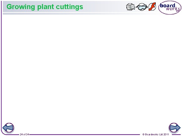 Growing plant cuttings 24 of 34 © Boardworks Ltd 2011 