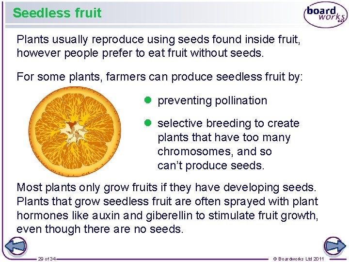 Seedless fruit Plants usually reproduce using seeds found inside fruit, however people prefer to
