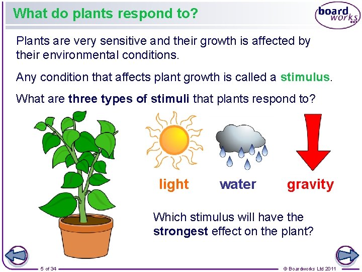 What do plants respond to? Plants are very sensitive and their growth is affected