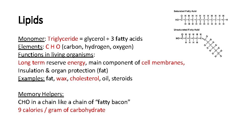 Lipids Monomer: Triglyceride = glycerol + 3 fatty acids Elements: C H O (carbon,