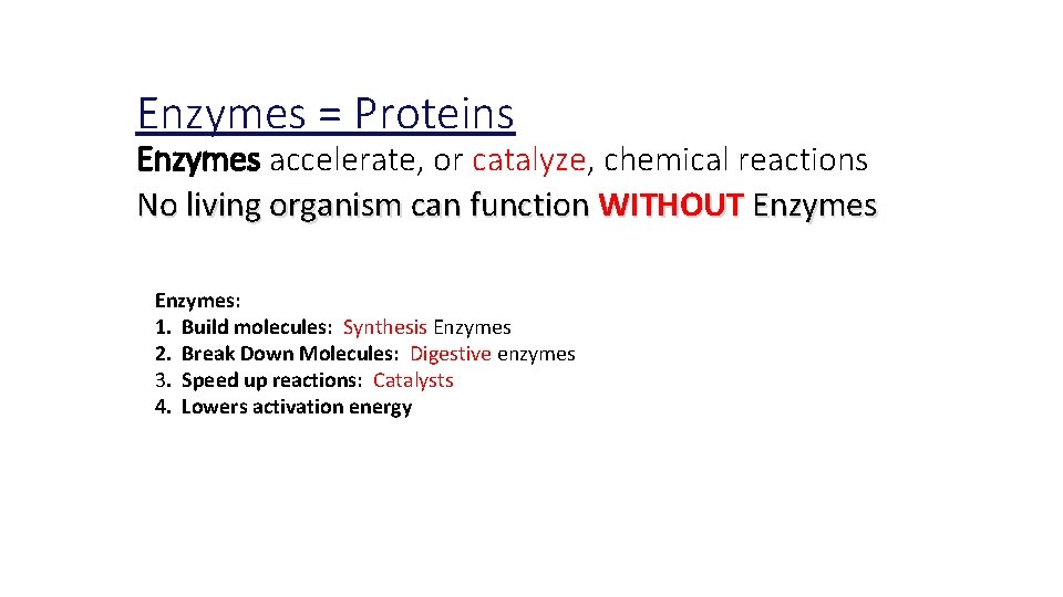 Enzymes = Proteins Enzymes accelerate, or catalyze, chemical reactions No living organism can function