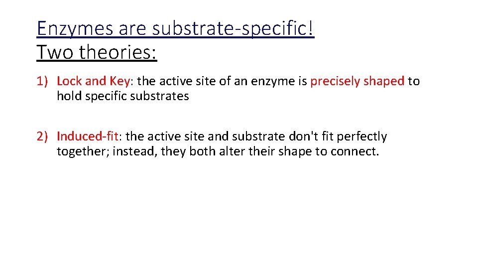 Enzymes are substrate-specific! Two theories: 1) Lock and Key: the active site of an