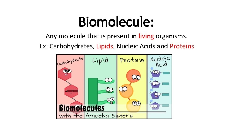 Biomolecule: Any molecule that is present in living organisms. Ex: Carbohydrates, Lipids, Nucleic Acids