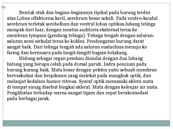  Bentuk otak dan bagian-bagiannya tipikal pada burung terdiri atas Lobus olfaktorius kecil, serebrum