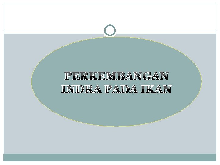 PERKEMBANGAN INDRA PADA IKAN 