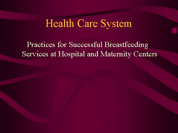 Health Care System Practices for Successful Breastfeeding Services at Hospital and Maternity Centers 