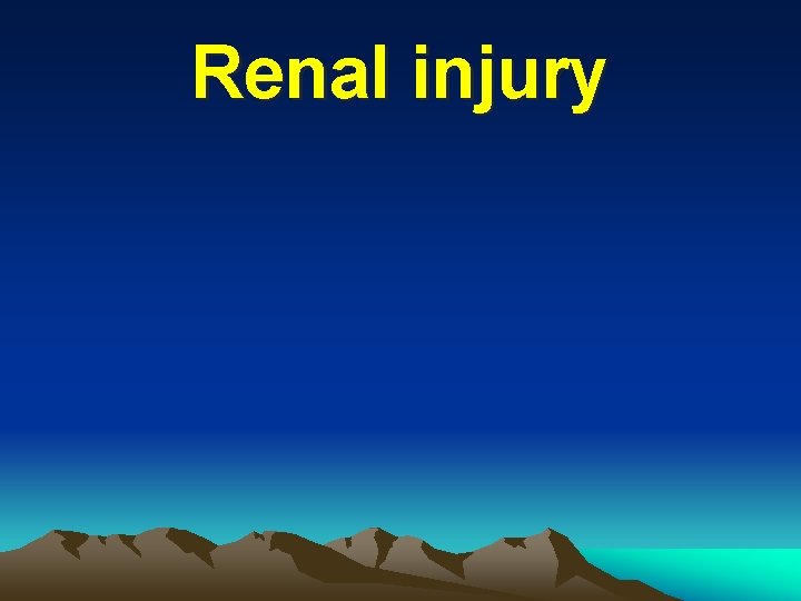 Renal injury 