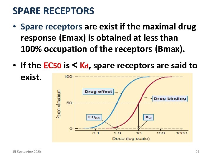 SPARE RECEPTORS • Spare receptors are exist if the maximal drug response (Emax) is