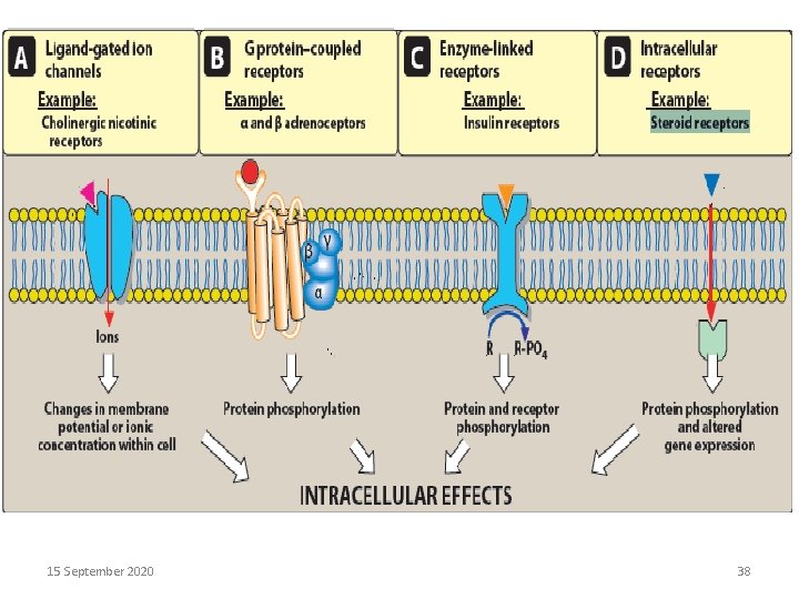 15 September 2020 38 