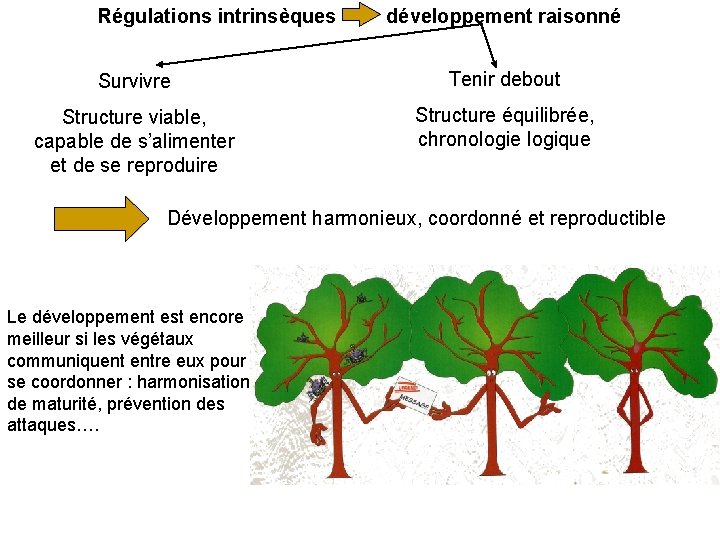 Régulations intrinsèques développement raisonné Survivre Tenir debout Structure viable, capable de s’alimenter et de