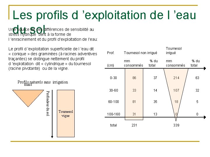 Les profils d ’exploitation de l ’eau du sol Une source de ces différences