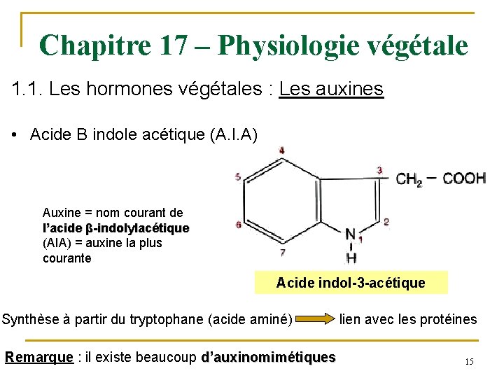 Chapitre 17 – Physiologie végétale 1. 1. Les hormones végétales : Les auxines •