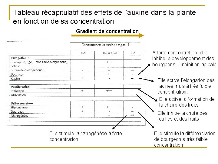 Tableau récapitulatif des effets de l’auxine dans la plante en fonction de sa concentration