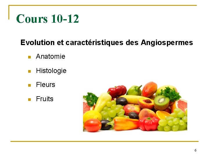 Cours 10 -12 Evolution et caractéristiques des Angiospermes n Anatomie n Histologie n Fleurs