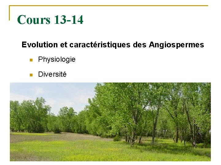 Cours 13 -14 Evolution et caractéristiques des Angiospermes n Physiologie n Diversité 7 