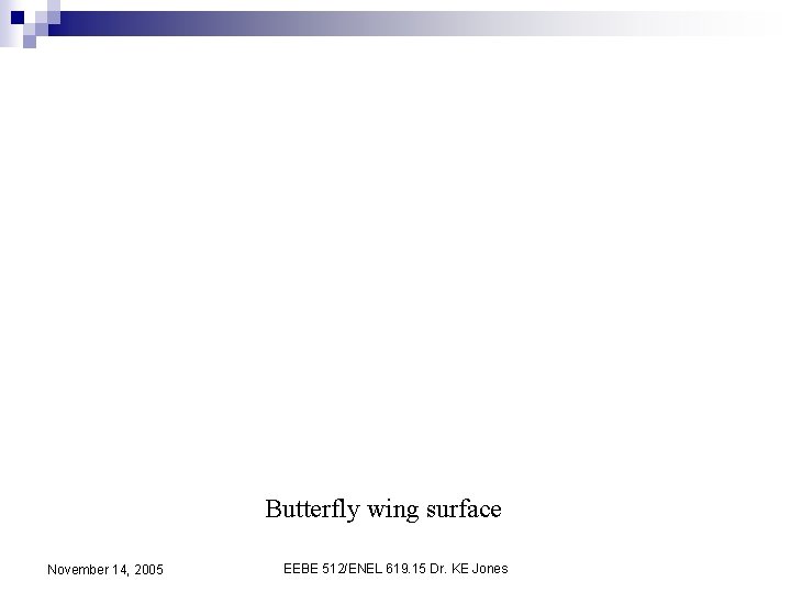 Butterfly wing surface November 14, 2005 EEBE 512/ENEL 619. 15 Dr. KE Jones 
